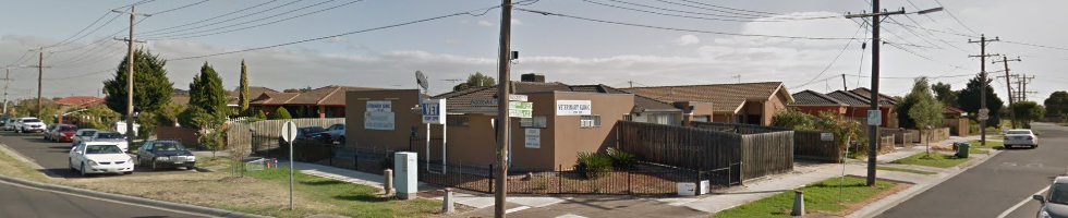 Advanced Veterinary Care