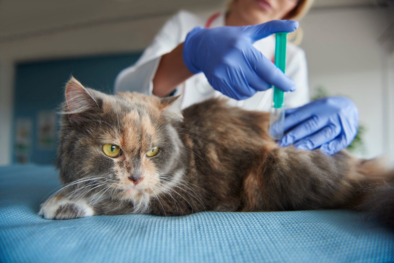 Veterinary Vaccination